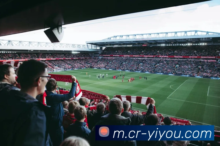 多媒体互动体验