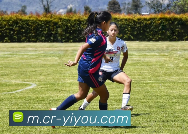 易游体育APP 高清赛事图